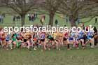 Girls Under-13s, 2024 CAU Inter Counties Cross Country Champs., Wollaton Park, Nottingham. Photo: David T. Hewitson/Sports for All Pics